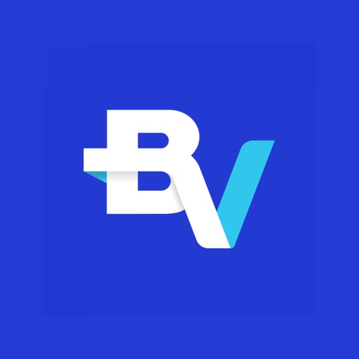 Financiamento de Veículos BV